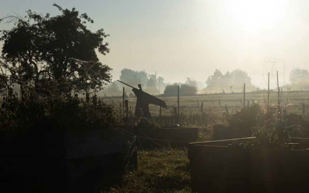 HALLOWEEN PHOTO COMPETITION - SCARECROWS